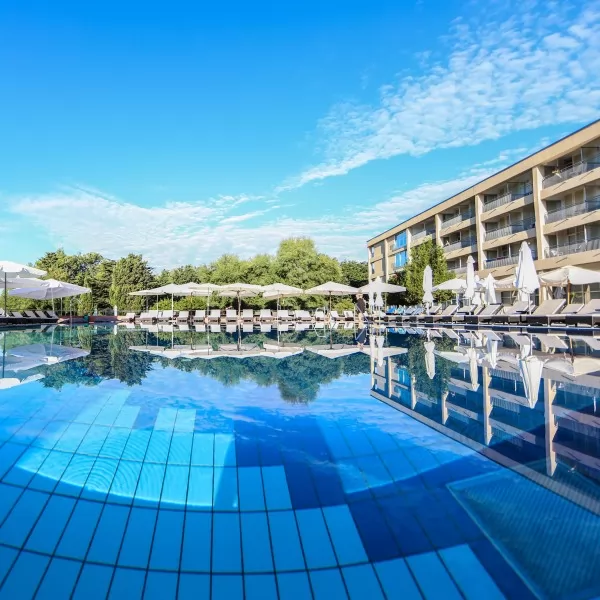 Dijana Karabašić / Real grupa