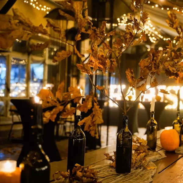 Vedrana Vasić / PR 365