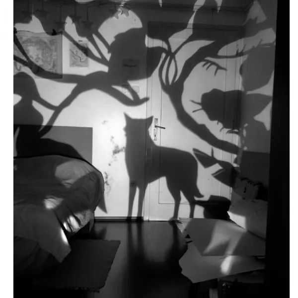 7. Festival Grafoskopa