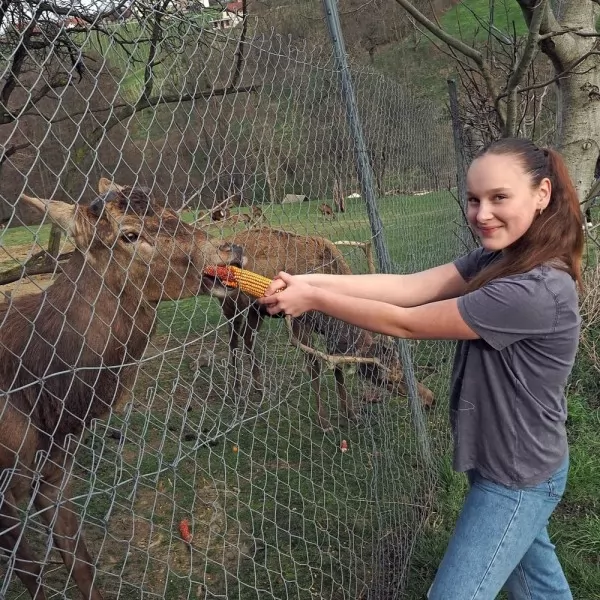 Farma jelena Perhoč