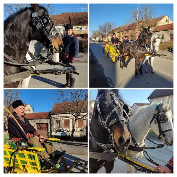 Kočija, kočijaš i konji