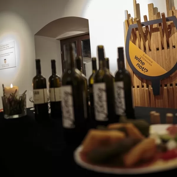 Alma Raoš / Lollipop PR