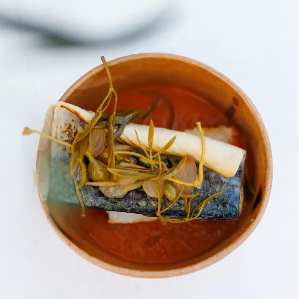 Mjesec plave ribe - gastro ponuda