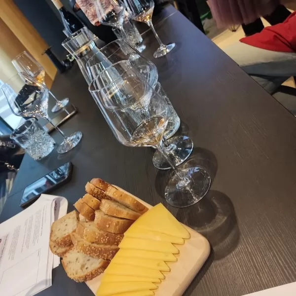 diWine radionica - Vino za početnike