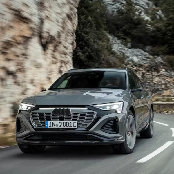 Nevistic Sabljic Ivana / POHR