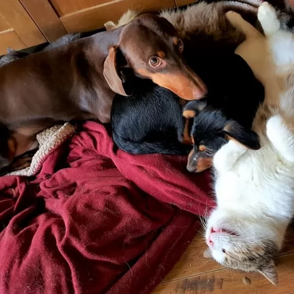 Nikoleta Lučin / Madison.hr