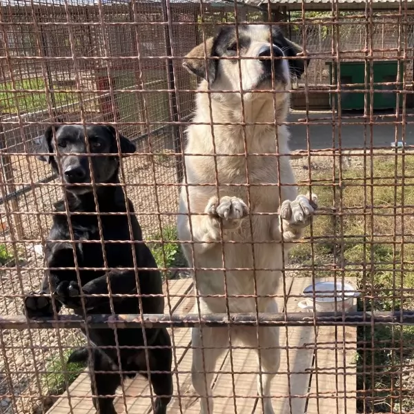 Nikoleta Lučin / Madison.hr