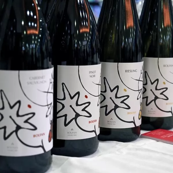 Nikola Zoko / diWine