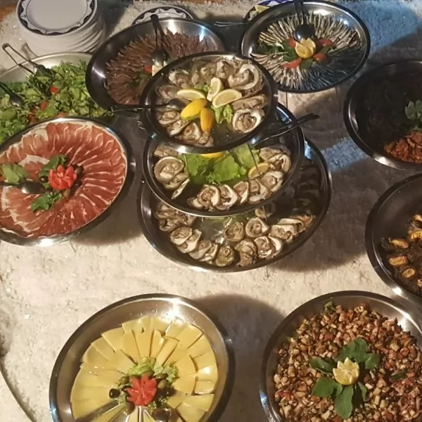 Alma Radoš / Festival soli u Stonu