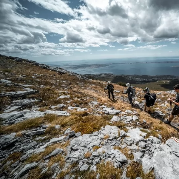 Dora Šestan / 404. Agency