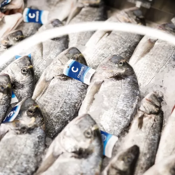Cromaris svježa riba