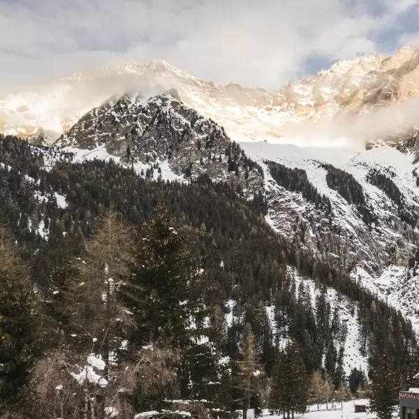 Elizabeta Penić / Lollipop PR