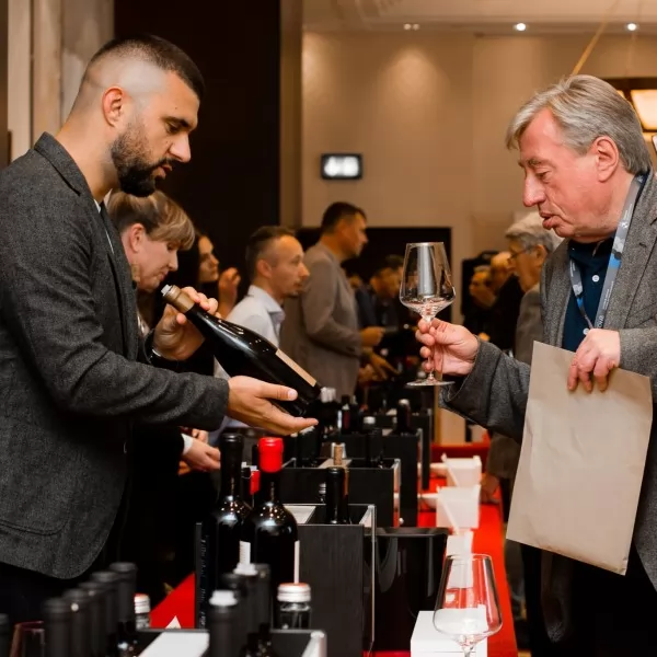 Dalmatinske vinske ikone